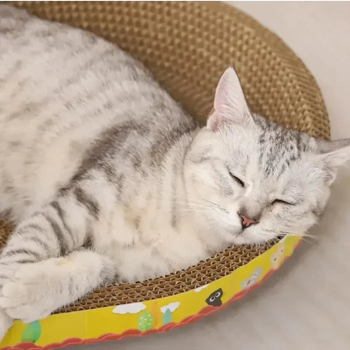 2-in-1 Oval Cat Scratcher & Bed
