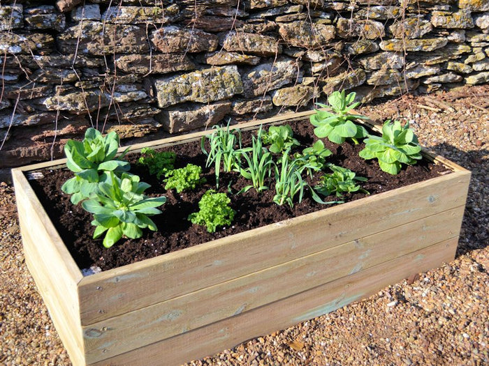 Buy Access 2' X 4' Wooden Raised Bed Kit online UK