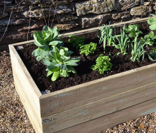 Buy Access 3 Tier Base for 6ft Half Cold Frame - Without Slats online UK