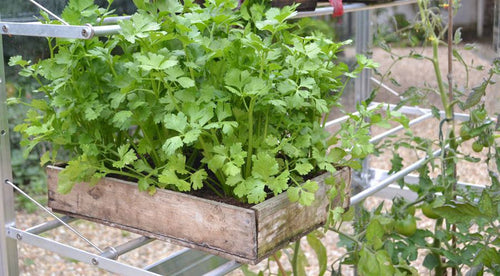 Buy Access 4' Wide Shelf online UK