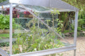 Buy Access Brace Set For Double Tomato House online UK