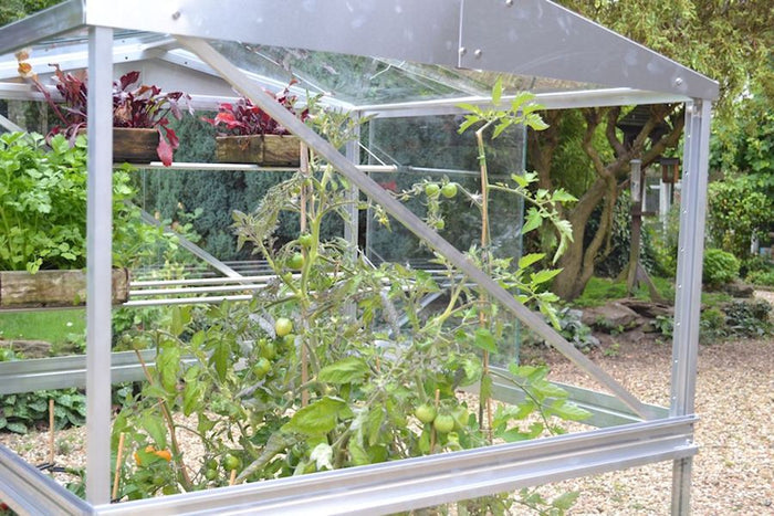 Buy Access Brace Set For Double Tomato House online UK