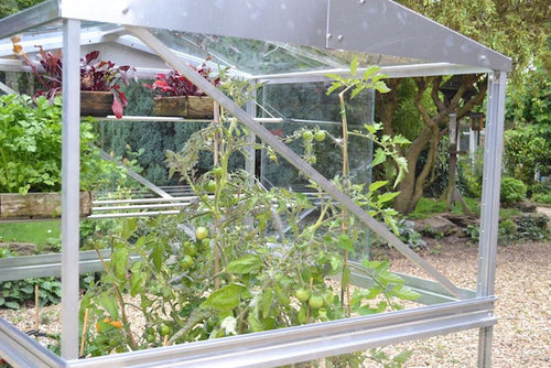 Buy Access Brace Set For Double Tomato House online UK
