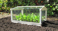 Buy Access Garden Cloche online UK