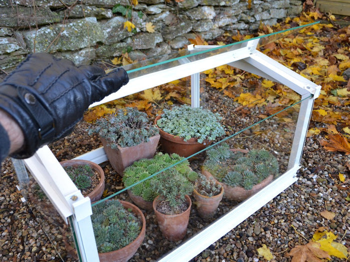 Buy Access Garden Cloche online UK