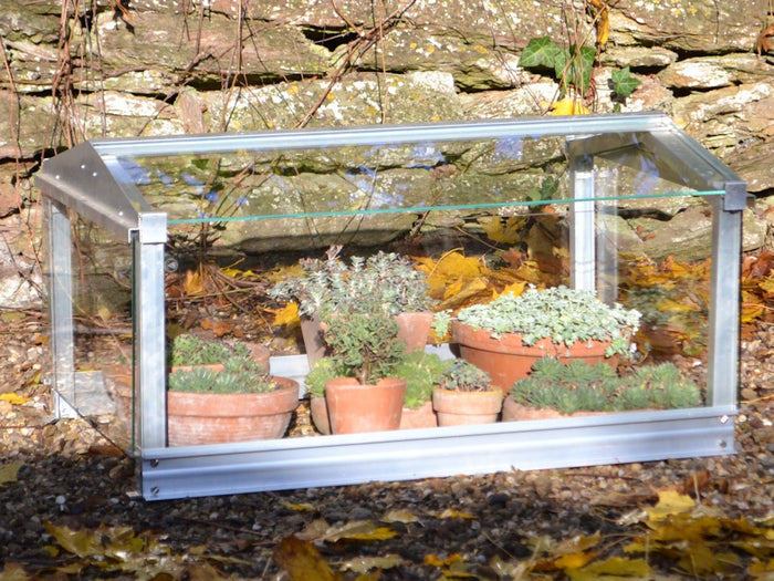 Buy Access Garden Cloche online UK