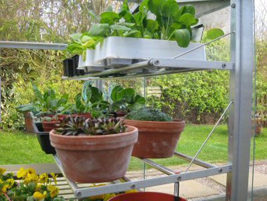 Buy Access Half Cold Frame Shelves online UK
