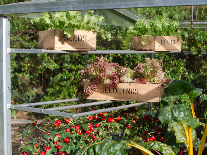 Buy Access Seed Tray Shelves online UK