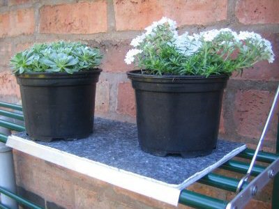 Buy Access Shelf Covers online UK