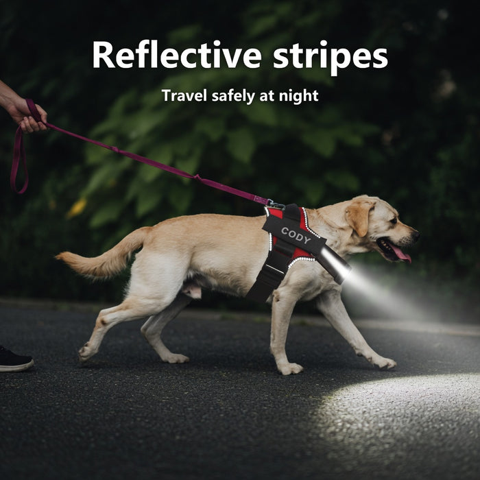 Adventure Dog Gear Set