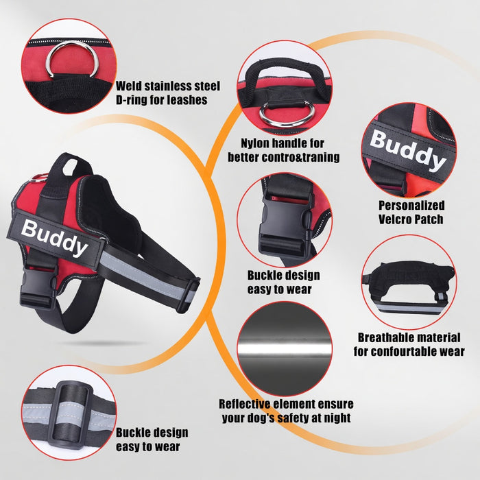 Adventure Dog Gear Set