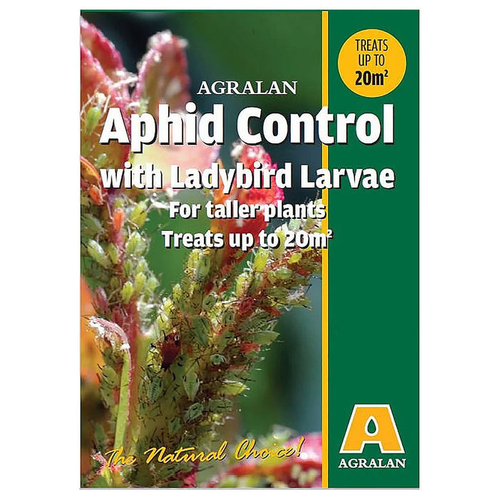 Agralan Aphid Control - Ladybird Larvae