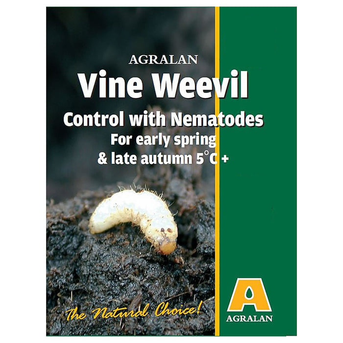 Agralan Vine Weevil Nematodes - Low Temperature