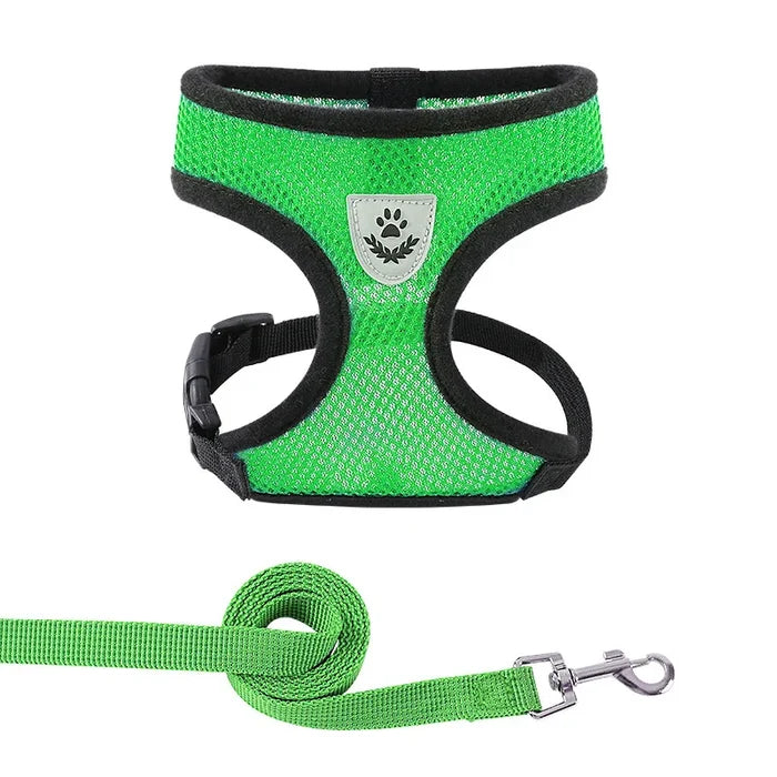 Green / S