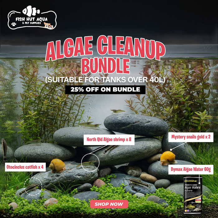Algae Cleanup Bundle - 25% OFF