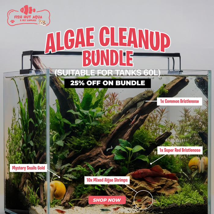 Algae Cleanup Bundle - 25% OFF