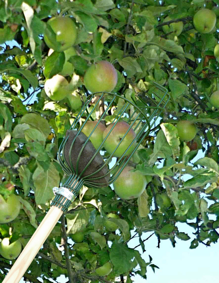 Buy Apple Picker online UK