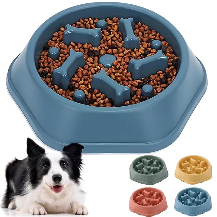 AquaPetStore™ Dog Slow Feeder