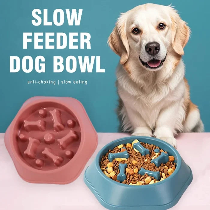 AquaPetStore™ Dog Slow Feeder