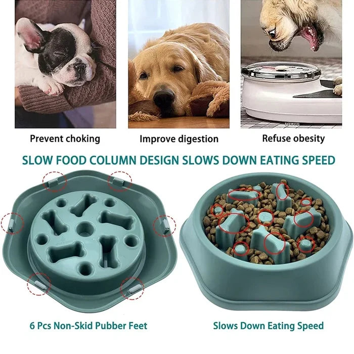 AquaPetStore™ Dog Slow Feeder
