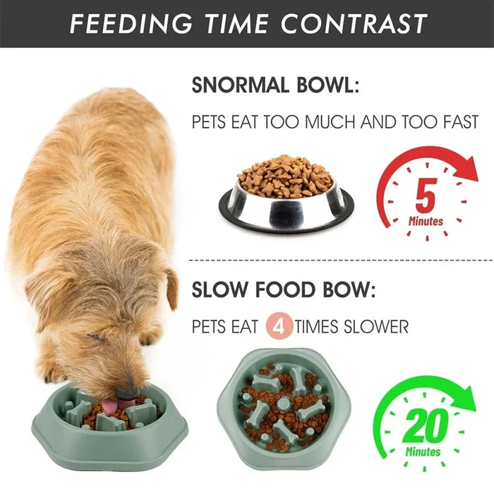 AquaPetStore™ Dog Slow Feeder