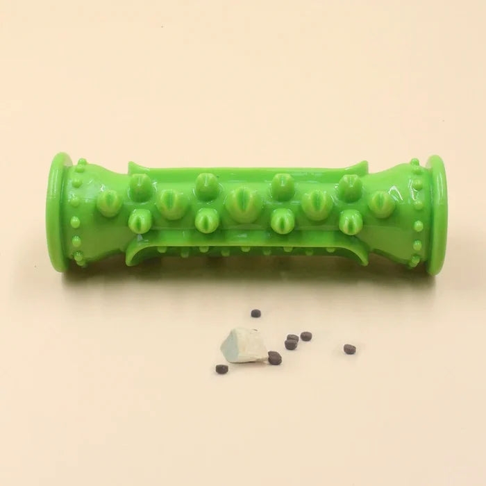 AquaPetStore™ Dog Toothbrush Chew Toy