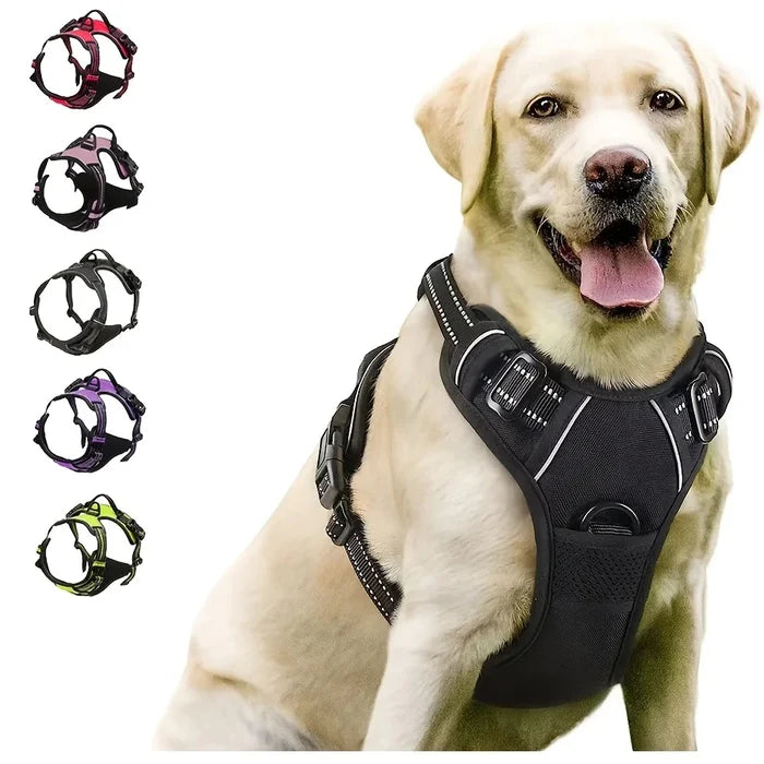 AquaPetStore™ No-Pull Harness