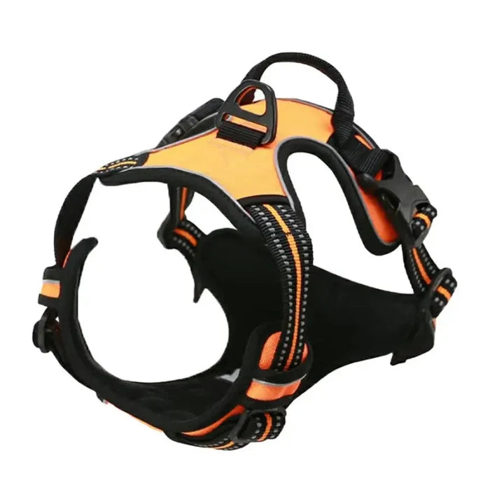 Orange / XL