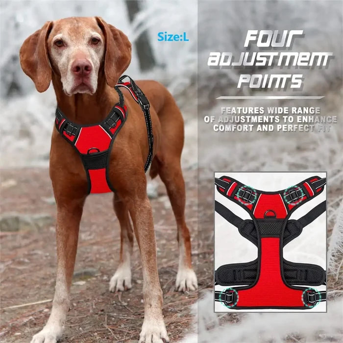 AquaPetStore™ No-Pull Harness