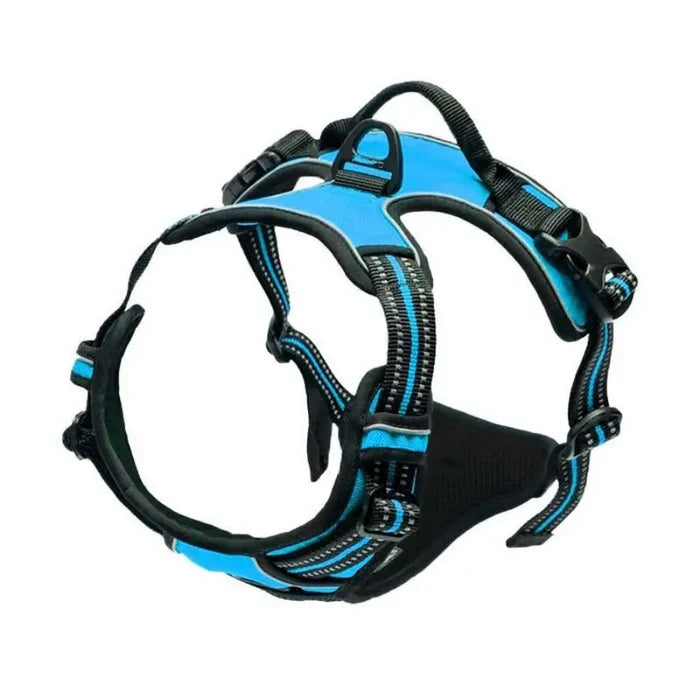 Blue / S