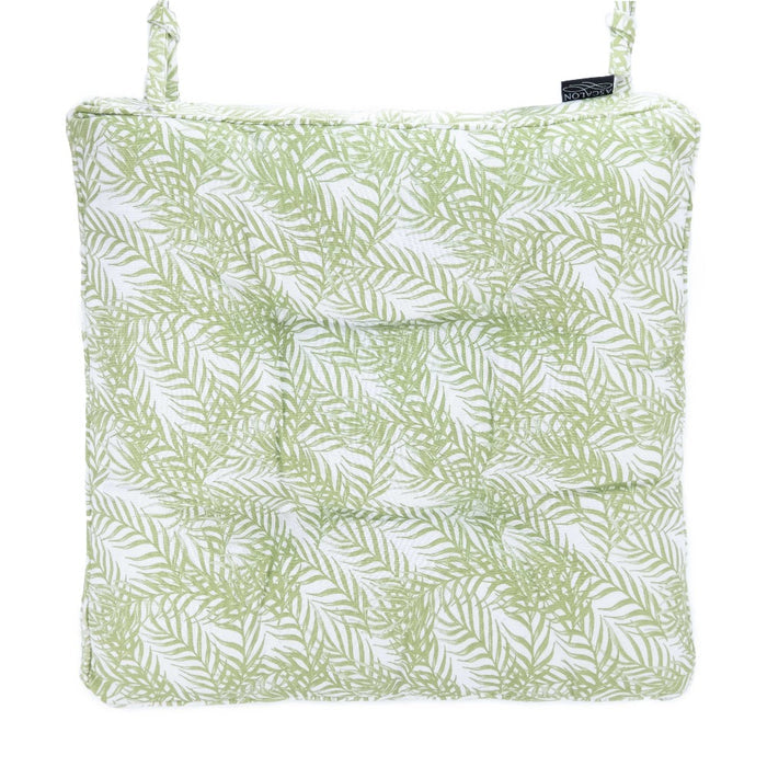 Fern