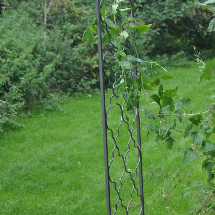 Buy Ascalon Marrakech Arch - 'Umbra Grey' online UK