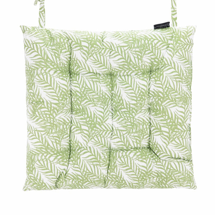 Fern