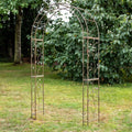 Buy Ascalon Woodland Arch - 'Rust' online UK