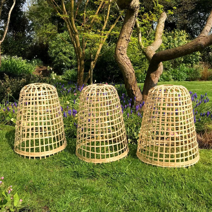 Buy Bamboo Bell Cloche & Garden Plant Protection Cover - Medium online UK