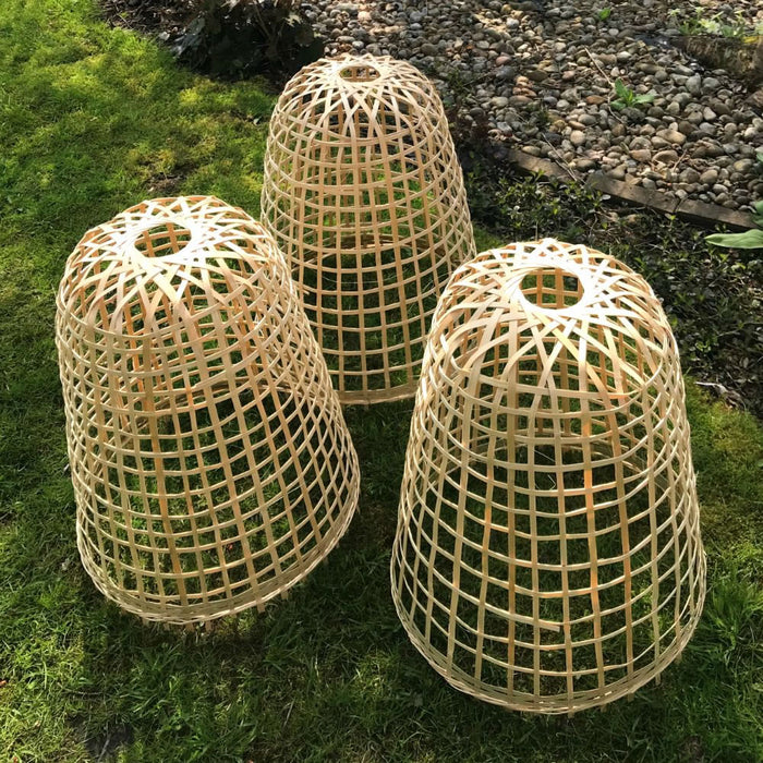Buy Bamboo Bell Cloche & Garden Plant Protection Cover - Medium online UK