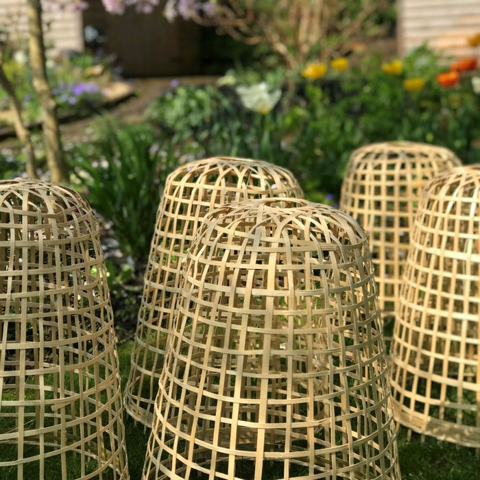 Buy Bamboo Bell Cloche & Garden Plant Protection Cover - Medium online UK
