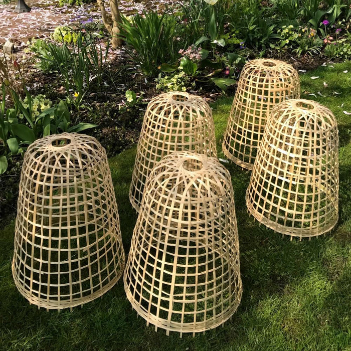 Buy Bamboo Bell Cloche & Garden Plant Protection Cover - Medium online UK