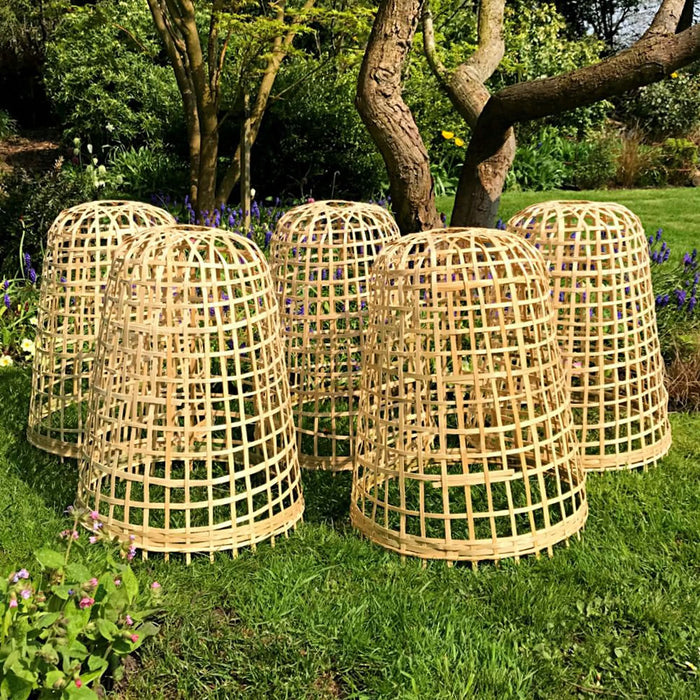 Buy Bamboo Bell Cloche & Garden Plant Protection Cover - Medium online UK