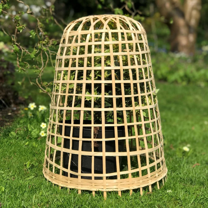 Buy Bamboo Bell Cloche & Garden Plant Protection Cover - Small online UK