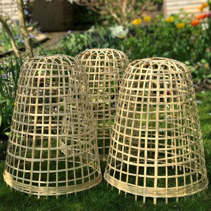 Buy Bamboo Bell Cloche & Garden Plant Protection Cover - Small online UK