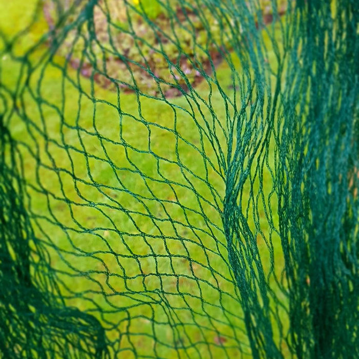 Buy Bird Block Soft Bird Mesh Netting for Fruit, Veg & Plants online UK