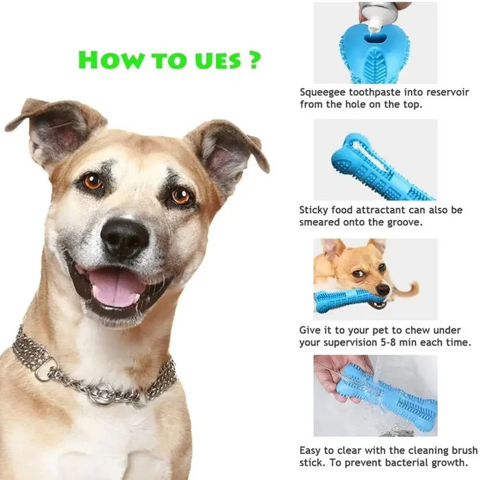 Brush-&-Play Dental Stick | Natural Deep-Clean Chew
