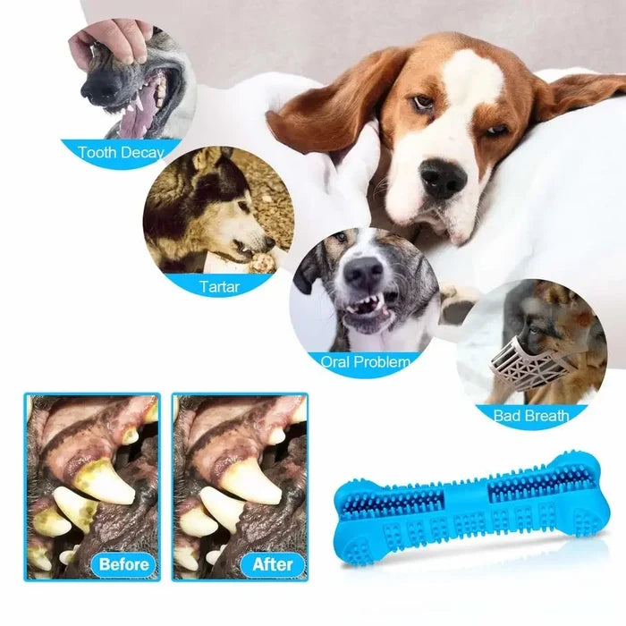 Brush-&-Play Dental Stick | Natural Deep-Clean Chew