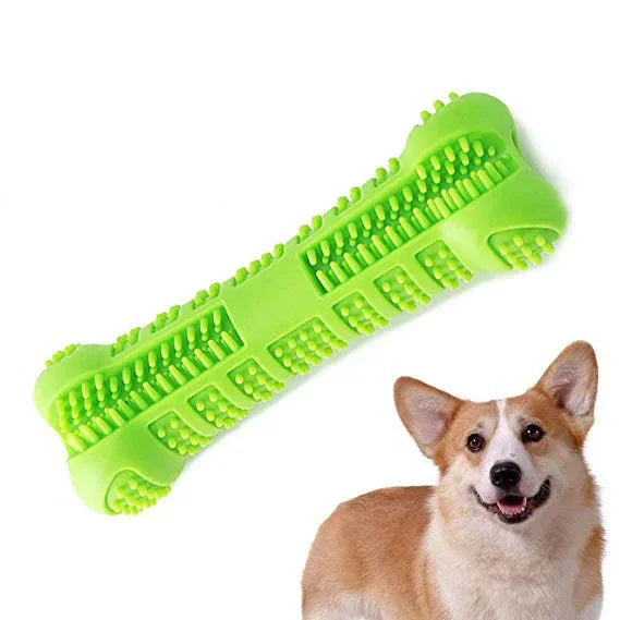 M 10.5x3.7cm / Green