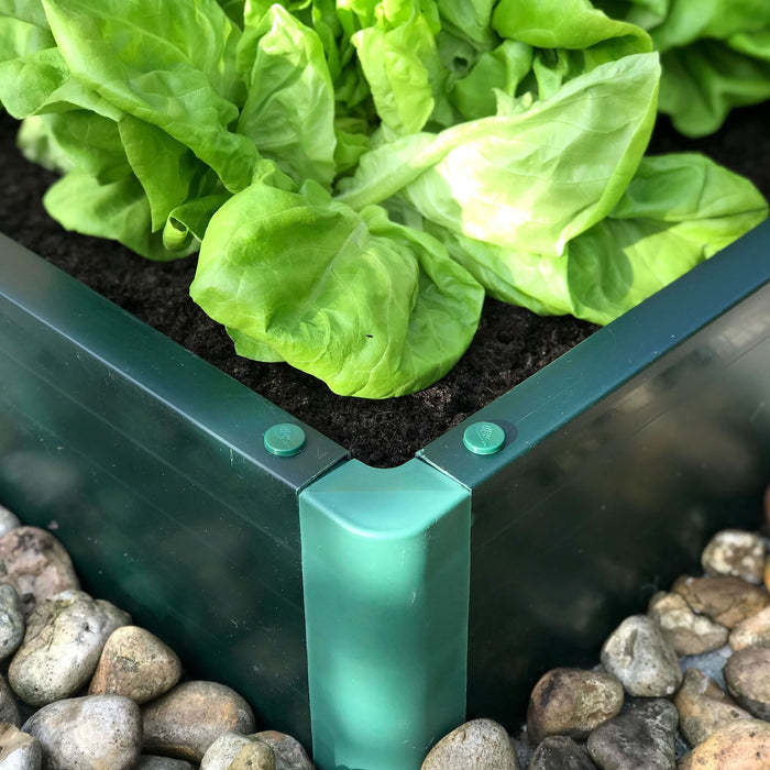 Buy Build-a-Bed Raised Vegetable Grow Bed & Planter (150mm high) online UK