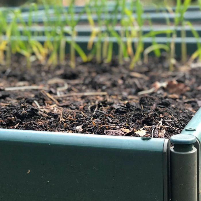 Buy Build-a-Bed Raised Vegetable Grow Bed & Planter (250mm high) online UK