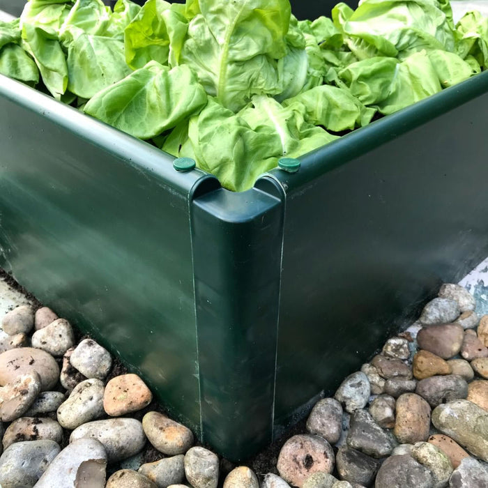 Buy Build-a-Bed Raised Vegetable Grow Bed & Planter (250mm high) online UK
