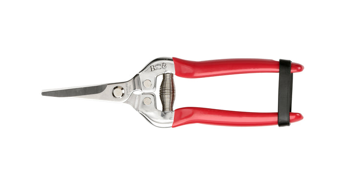 Buy Burgon & Ball British Bloom Snip and Holster Set online UK