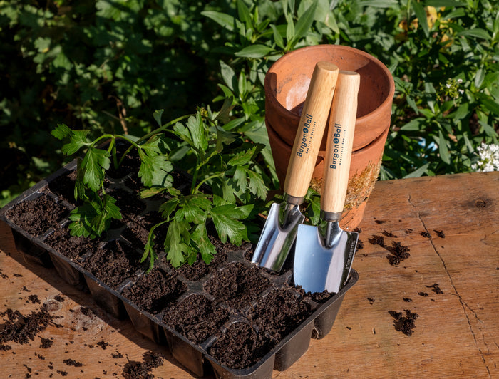 Buy Burgon & Ball Cell Tray Trowels online UK